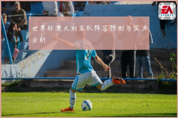 世界杯澳大利亚队阵容预测与实力分析