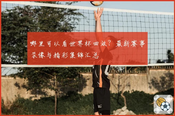 哪里可以看世界杯回放？最新赛事录像与精彩集锦汇总