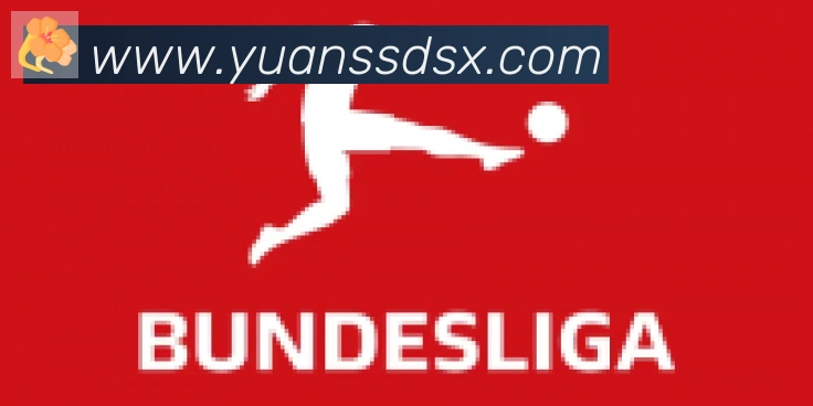 爱游戏官网合作伙伴